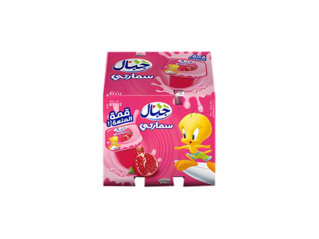 Raibi Grenadine Smarty Jibal 12x85g.