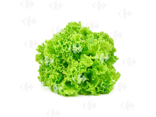 Salade Laitue Frisée à La Pièce.