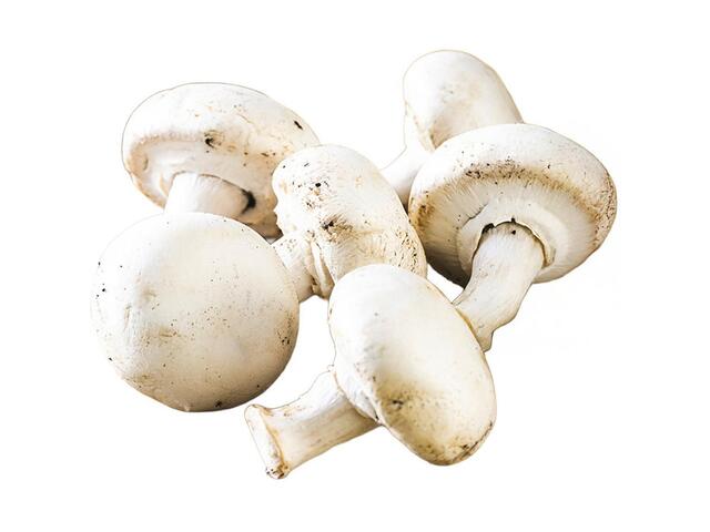 Champignon Extra 250g.