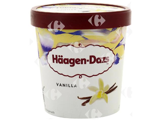 Pot de Glace Vanilla and Cream Häagen-Dazs 460ml