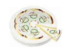 Fromage Brie Fromital 100g