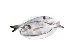 Dorade Royale Grande au Kg