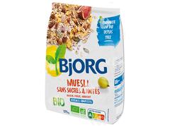 Muesli Sans Sucre Ajouté Bio Bjorg 375g