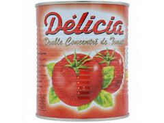Conserve de Double Concentré de Tomates Delicia 750g