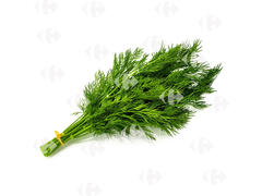 Aneth Fraîche en Botte 50g