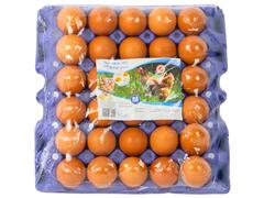 Œufs Frais Calibre M Baidy Plateau 30 unités