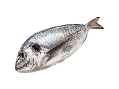 Dorade d'Élevage 400-600g