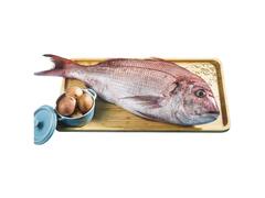 Pageot Chama Grand au Kg