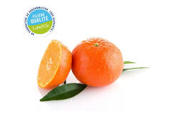 Clémentine Nadorcott 1,8Kg - Filière Qualité