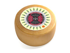 Fromage Pecorino Sardo Maturo Fattorie Girau 100g