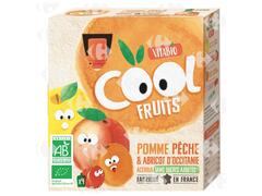 Gourde Cool Fruits Pomme Pêche et Abricot Acérola Bio Vitabio 4x90g