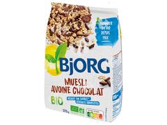 Muesli Avoine Chocolat Bio Bjorg 375g