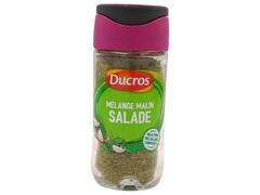 Mélange Malin pour Salade Ducros 18g