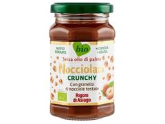 Pâte Choco Noisette Crunchy Bio Nocciolata 250g