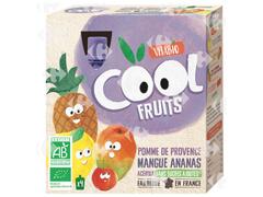 Gourde Cool Fruits Pomme Mangue Ananas Acérola Bio Vitabio 4x90g