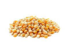 Maïs 900g