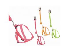 Laisse Harnais Grande Taille 1,2 mètres 1 unité