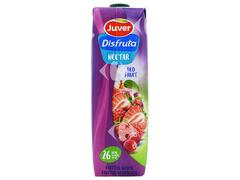 Jus Disfruta Exotique de Fruits Rouges Juver 1L.