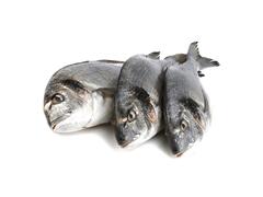 Dorade Royale Moyen au kg