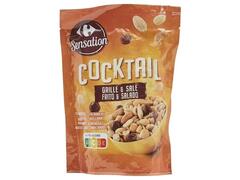 Mélange de Graines Cocktail Grillés et Salés Carrefour Sensation 110g