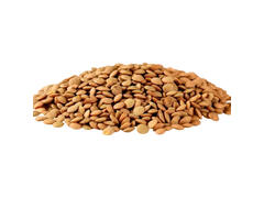 Lentilles Extras 900g