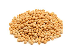 Pois Chiches Petit Calibre en Vrac 500g