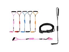 Lot de 5 Colliers avec Petite Laisse Assortie 2,5x7,5x62 cm