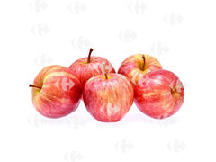 Pomme Gala Gros Calibre Arbor 500g