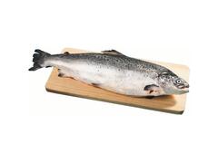 Saumon 1-2kg