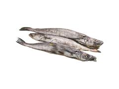 Merlan Colin 500g