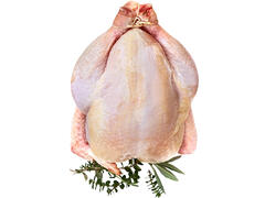 Poulet Entier Premium au Kg