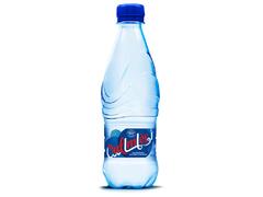 Eau Minérale Gazeuse Oulmes 33cl