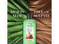 Shampooing Sans Sulfates Revitalisant bio renew à l'Aloe et à la Mangue Herbal Essences 400ml