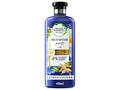 Après Shampooing purifiant : renew Eau Micellaire & Gingembre Bleu Herbal Essences bio 400ml