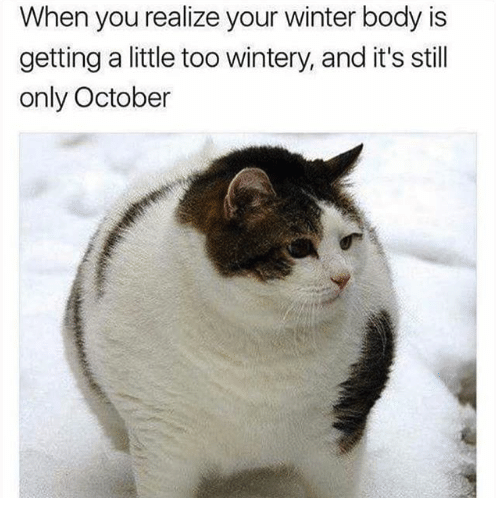 Winter Body Meme