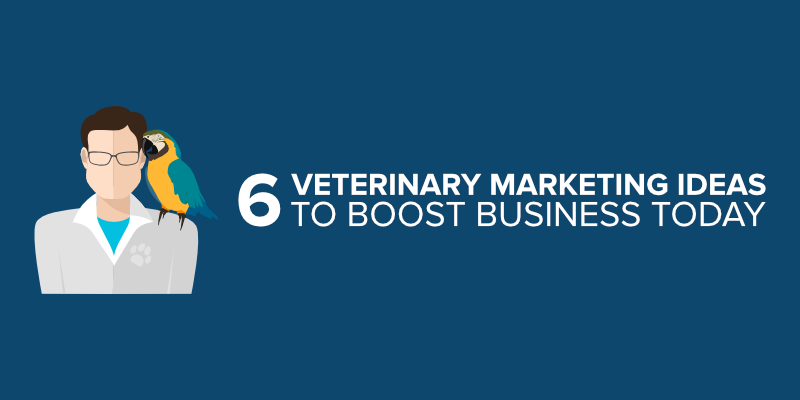 veterinary marketing toolkit