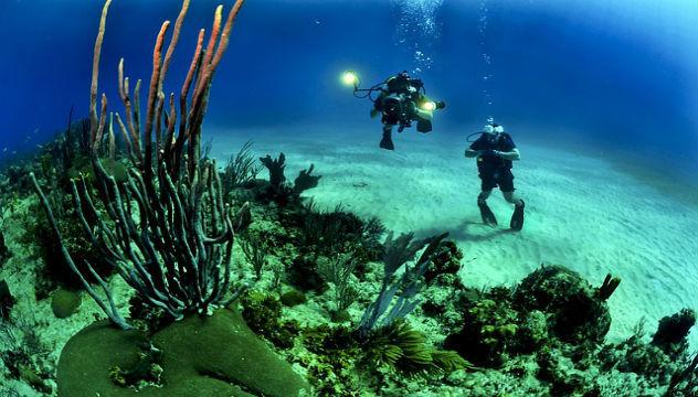 two people scuba diving