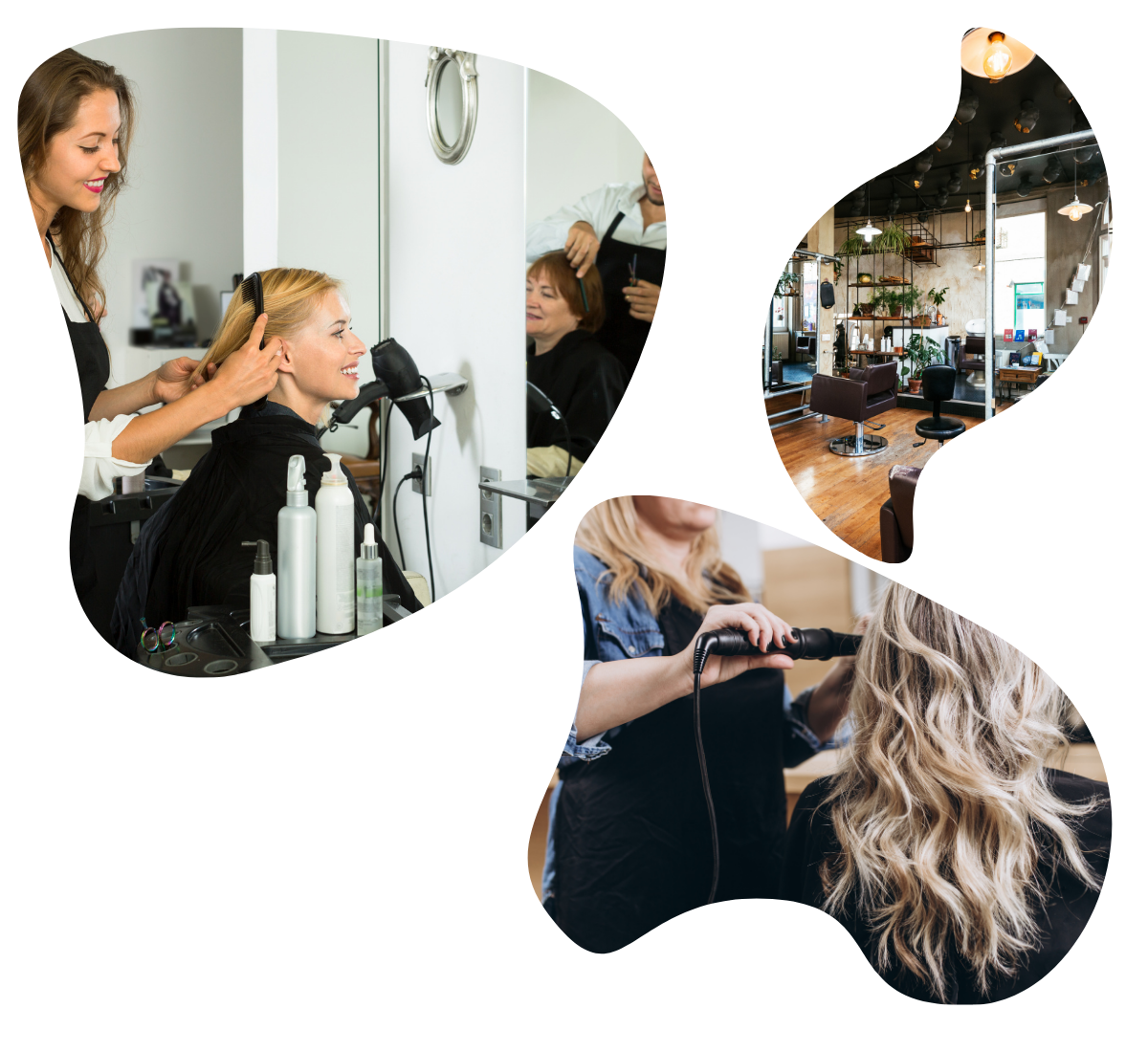 Salon App Preview