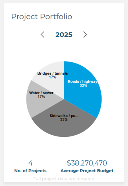 Company Details Page Project Portfolio Pie Chart