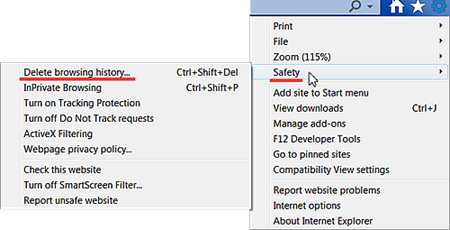 delete browsing history