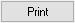 the Print button allows you to print or export a list of Payroll Classes