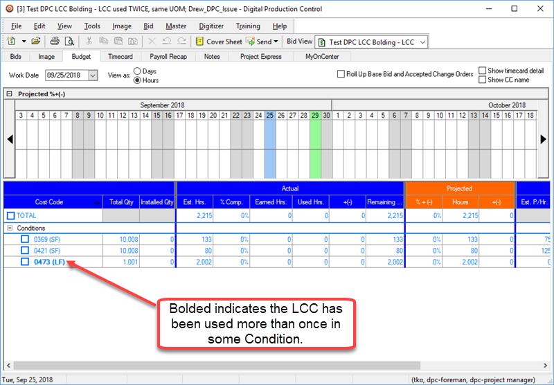 DPC Budget Tab displays some LCCs bolded.