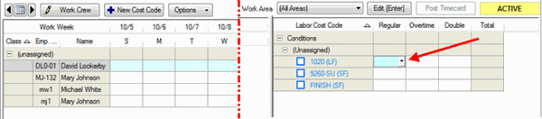 DPC Timecard Tab - time entry grid