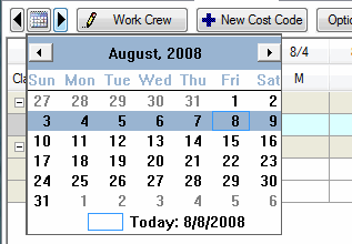 DPC Timecard Tab calendar showing week paging