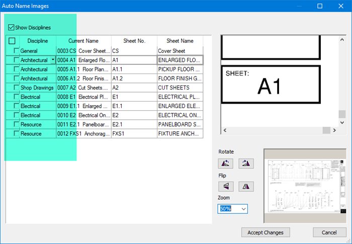 auto naming results showing disciplines