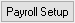 Payroll Setup button