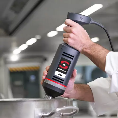 Mixeur plongeant professionnel: Mixeur XM-31