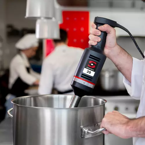 Mixeur plongeant professionnel: Mixeur XM-22