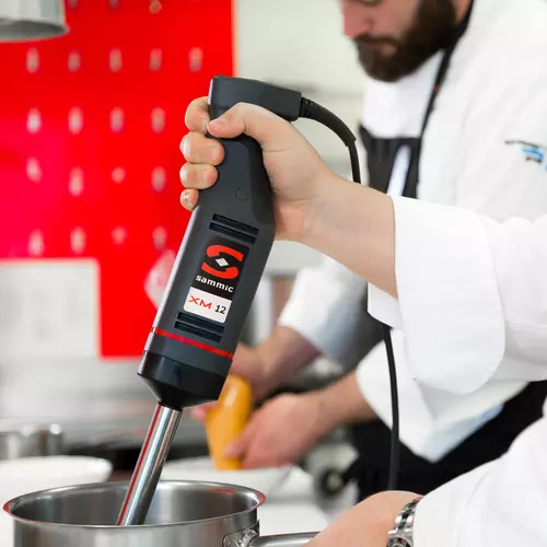 Mixeur plongeant professionnel: Mixeur XM-12