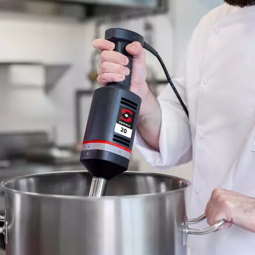 Mixeur plongeant professionnel: Mixeur XM-21